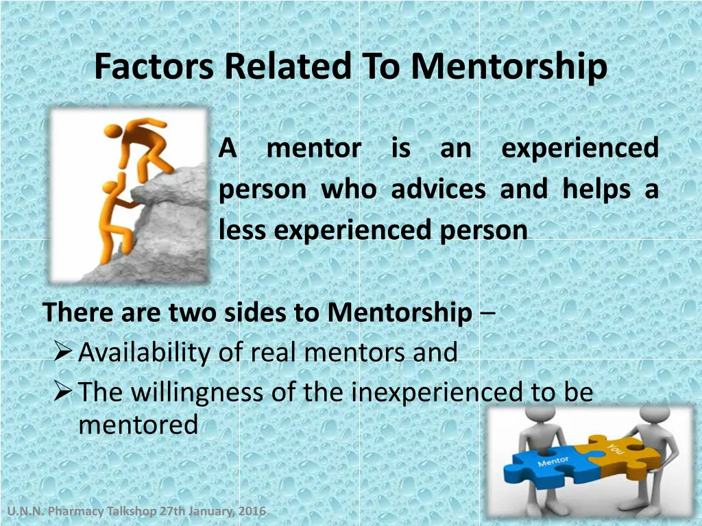 factors related to mentorship