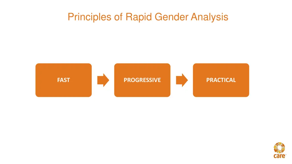 principles of rapid gender analysis