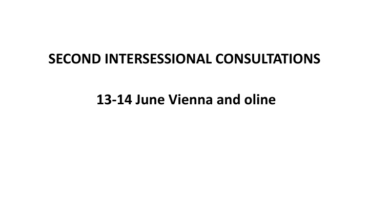 second intersessional consultations