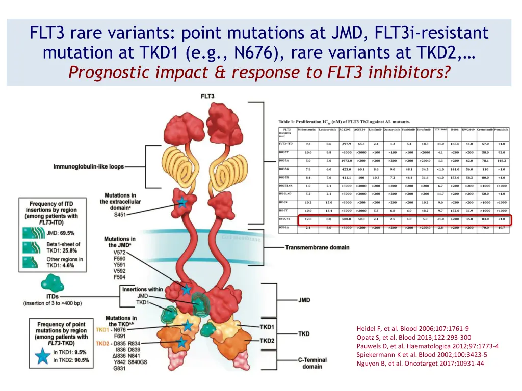 flt3 rare variants point mutations at jmd flt3i