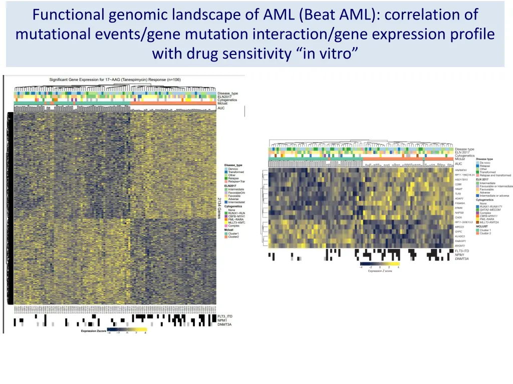 functional genomic landscape of aml beat