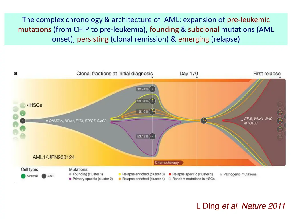 the complex chronology architecture