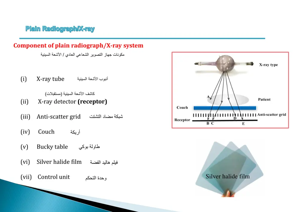 plain radiograph x ray 4