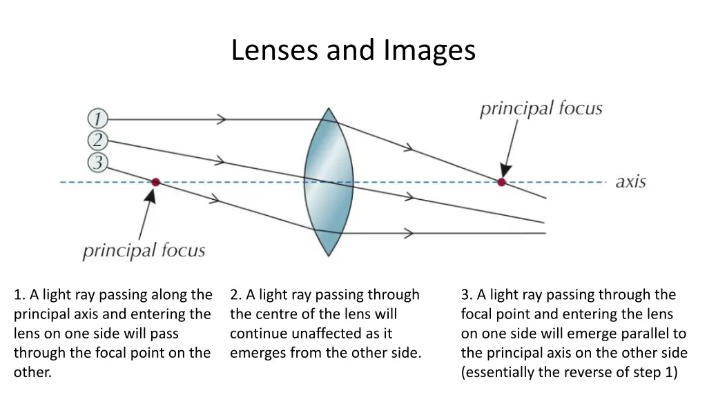 lenses and images 4