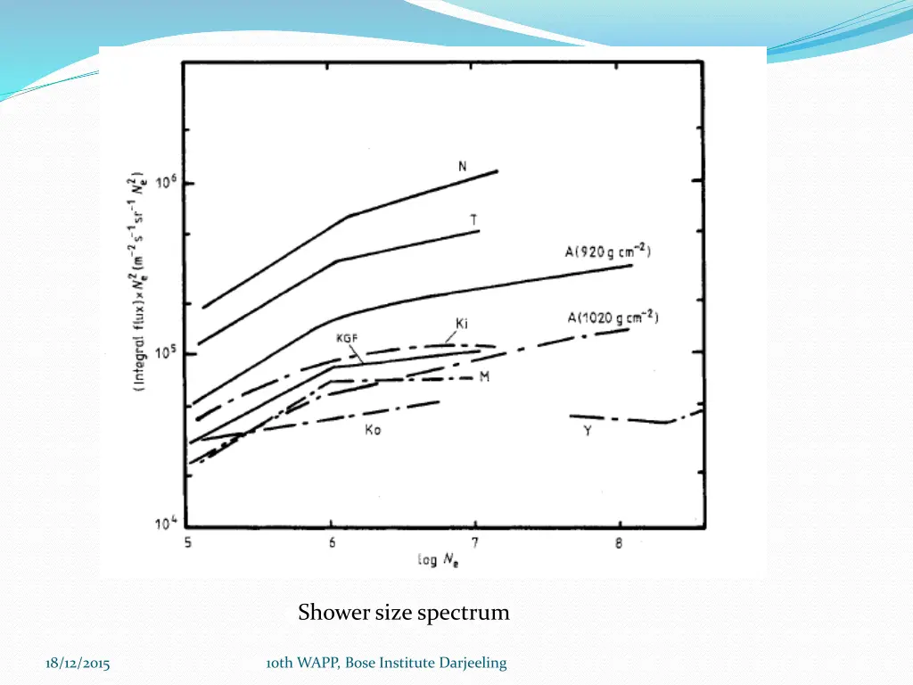 shower size spectrum