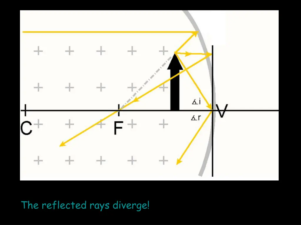 the reflected rays diverge