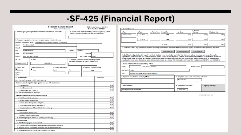 sf 425 financial report