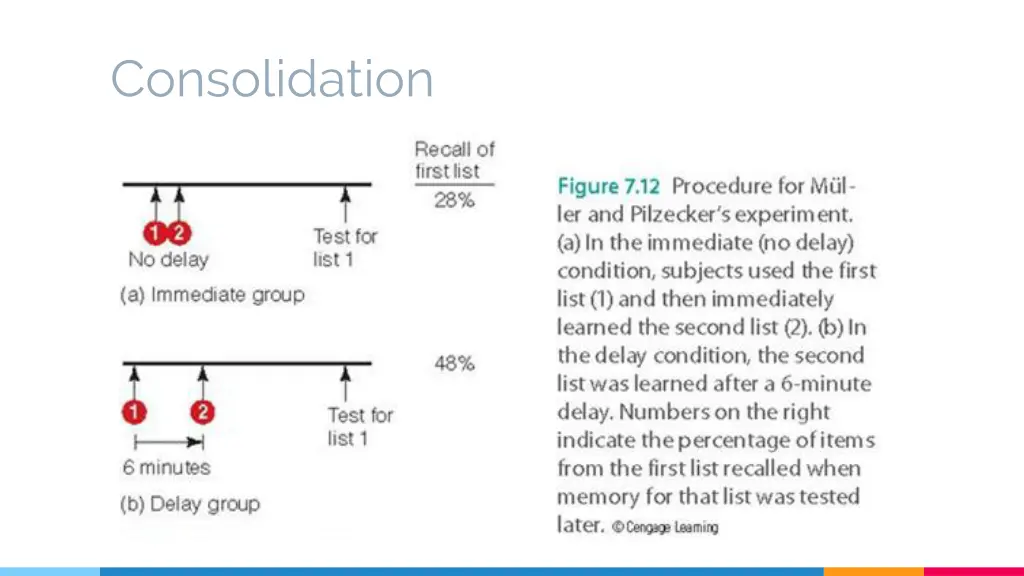 consolidation 1