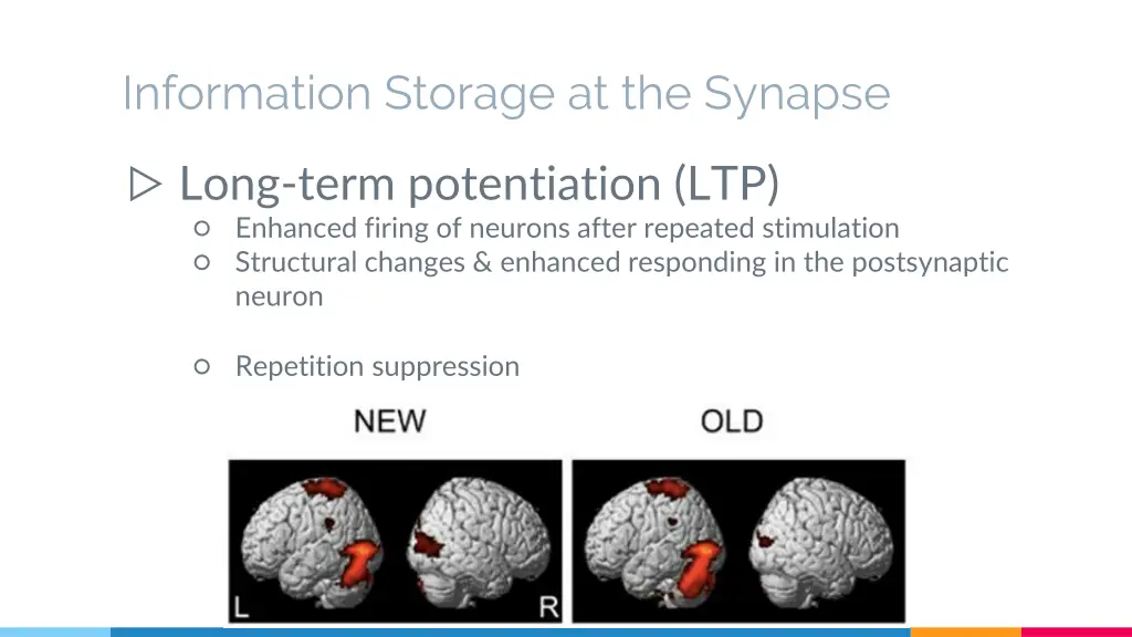 information storage at the synapse