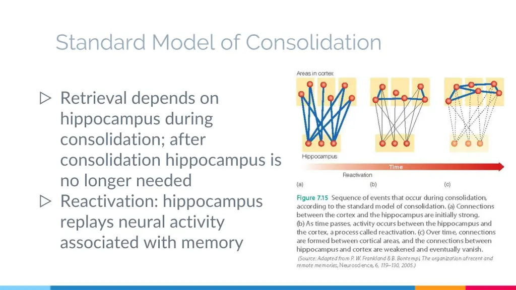 standard model of consolidation