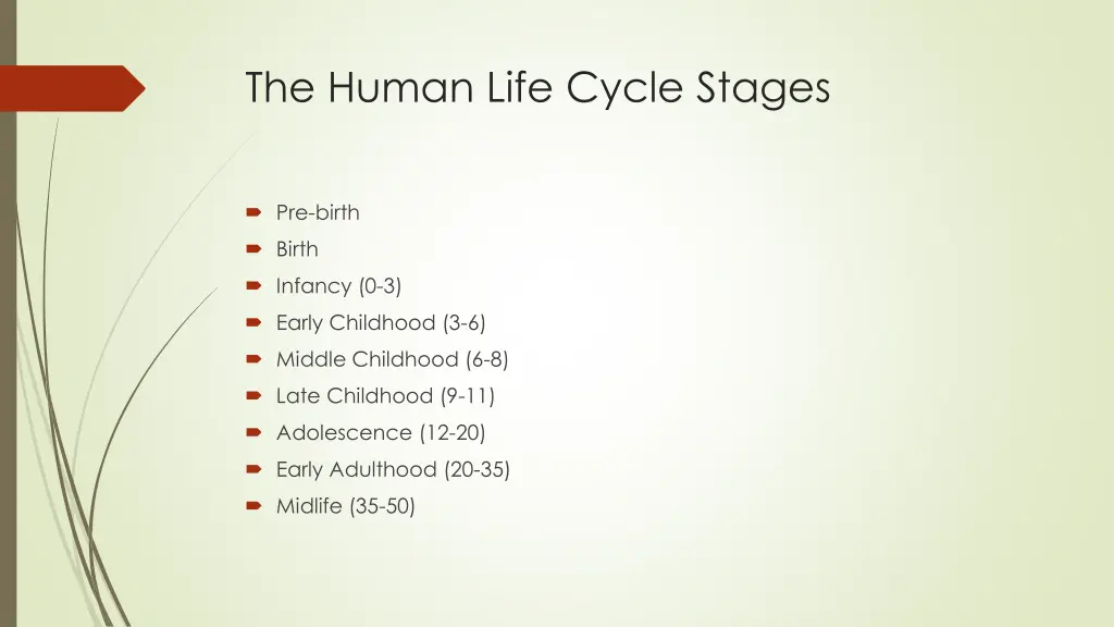 the human life cycle stages