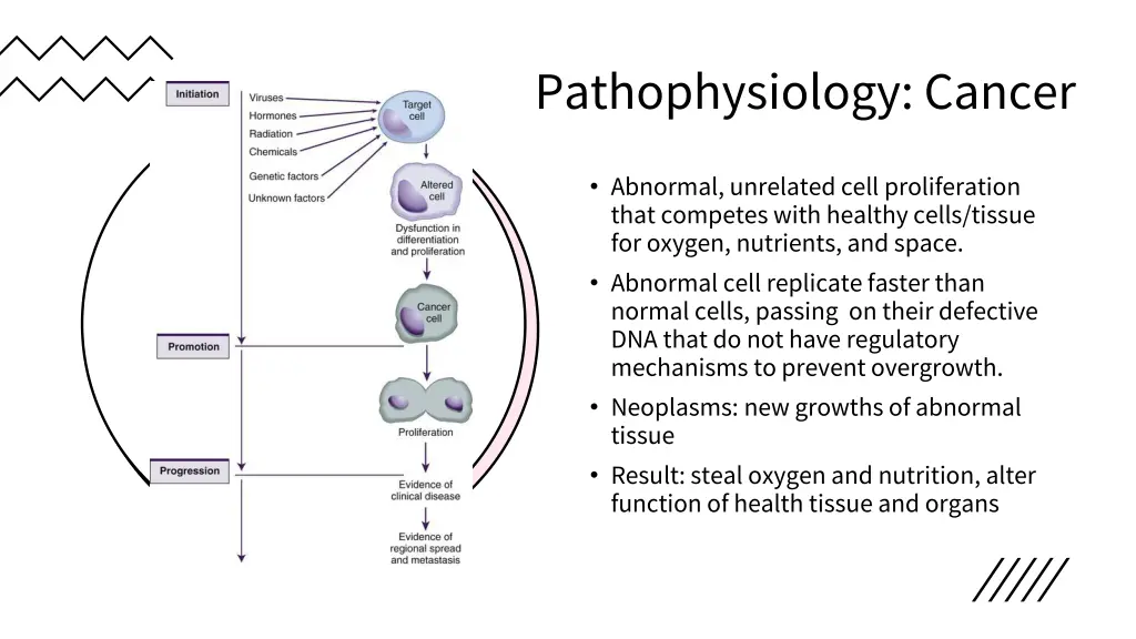 pathophysiology cancer