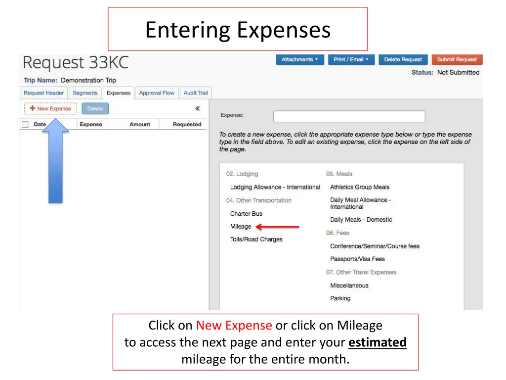 entering expenses