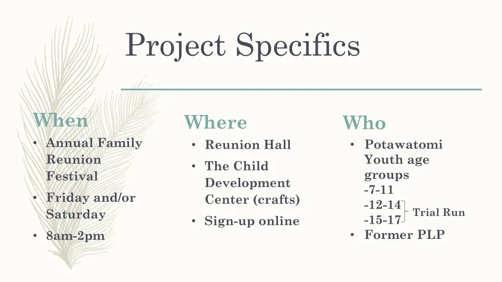 project specifics