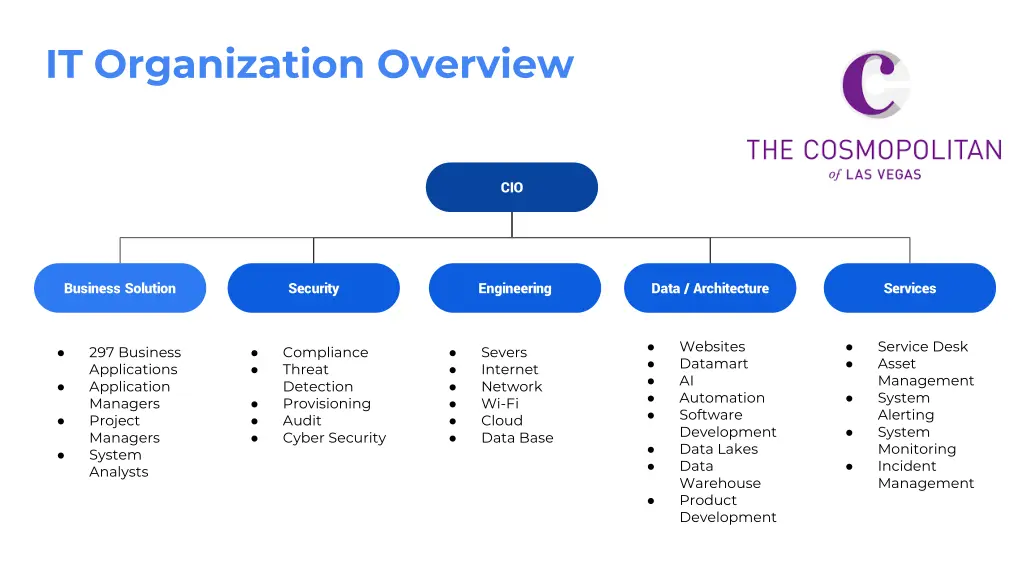 it organization overview