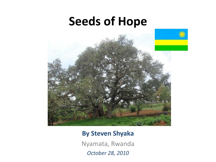 seeds of hope