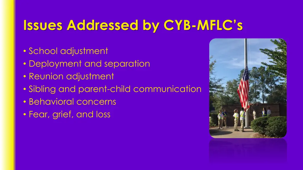 issues addressed by cyb mflc s