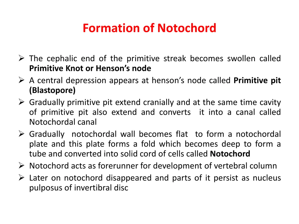 formation of notochord