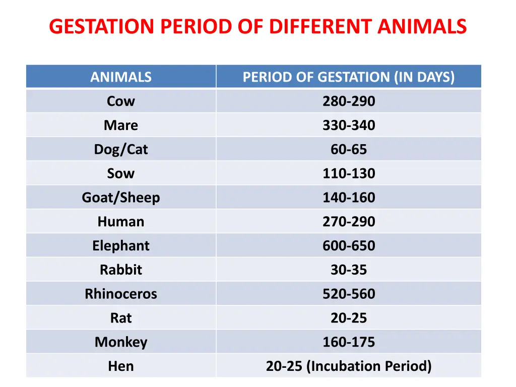 gestation period of different animals