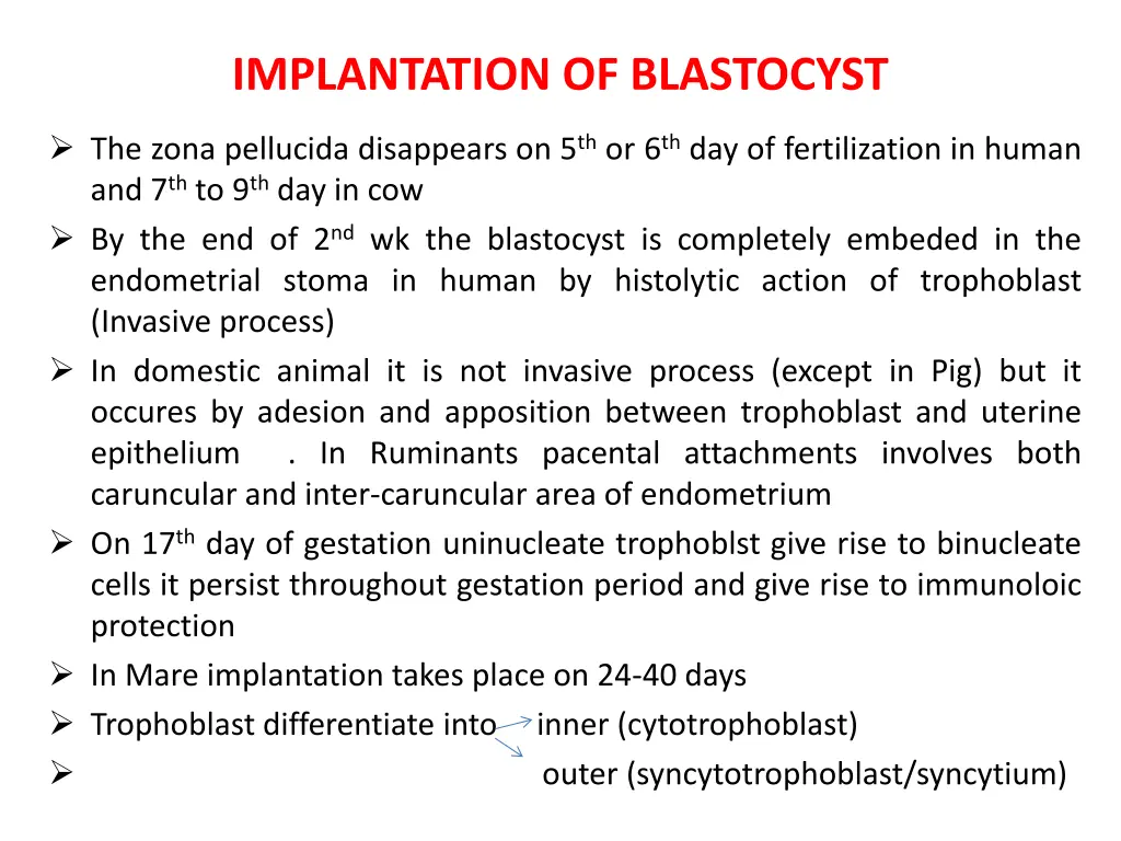 implantation of blastocyst