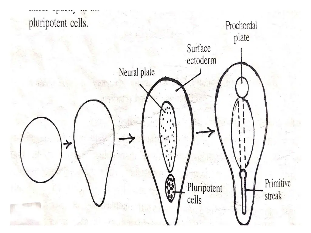 slide15