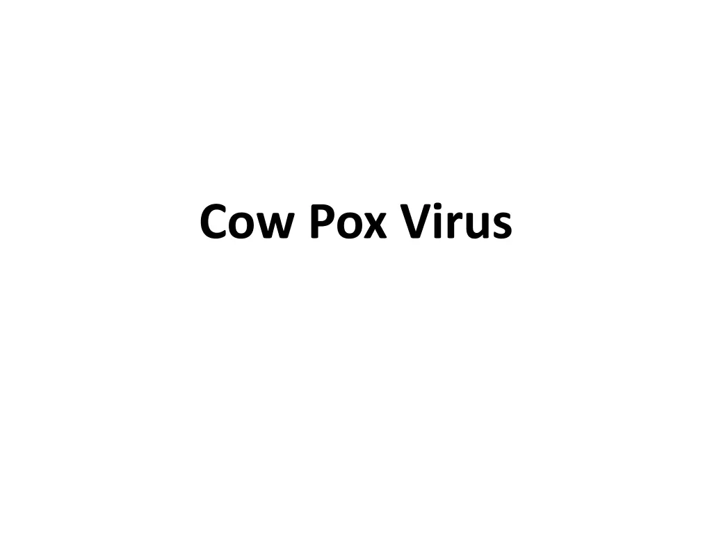 cow pox virus