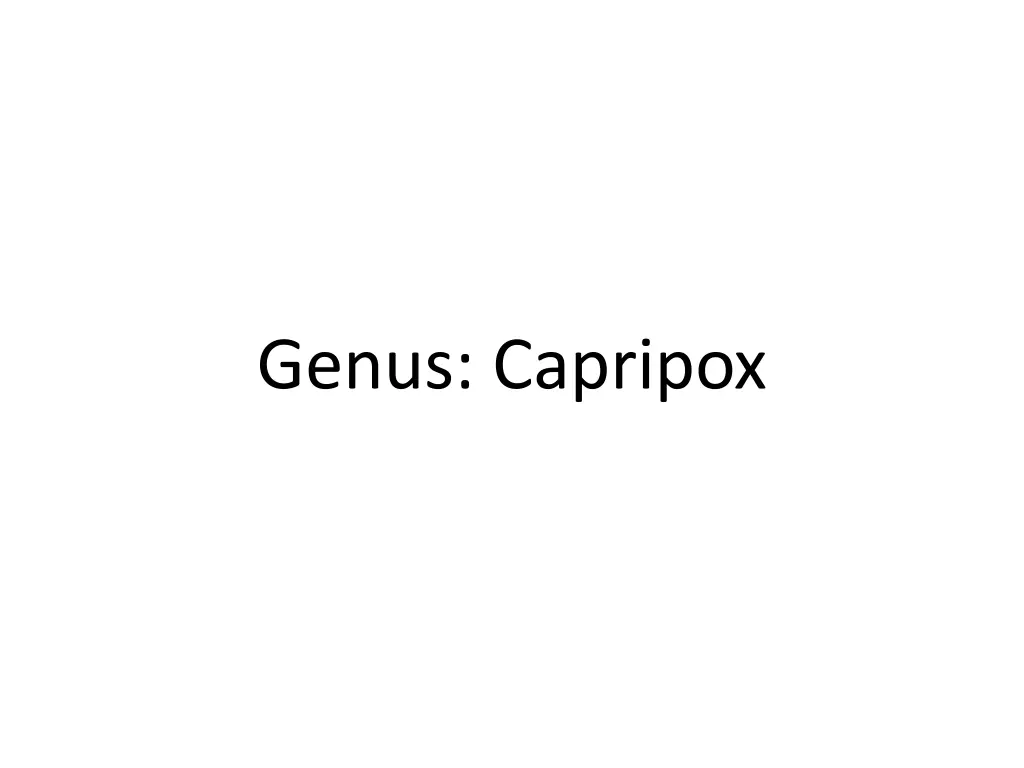 genus capripox