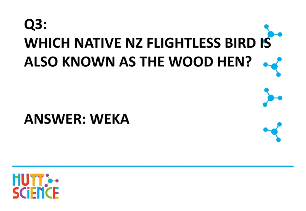 q3 which native nz flightless bird is also known