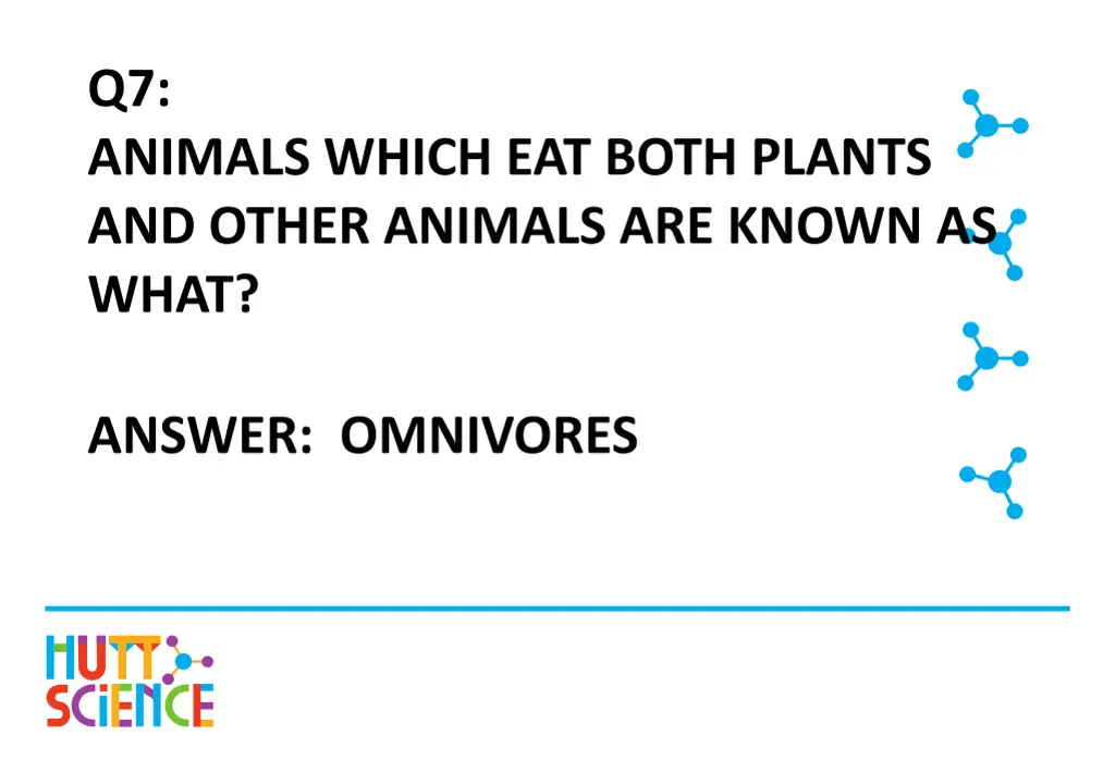 q7 animals which eat both plants and other