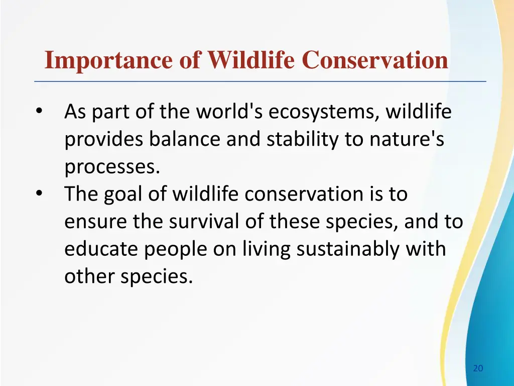 importance of wildlife conservation