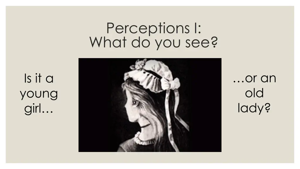 perceptions i what do you see 1