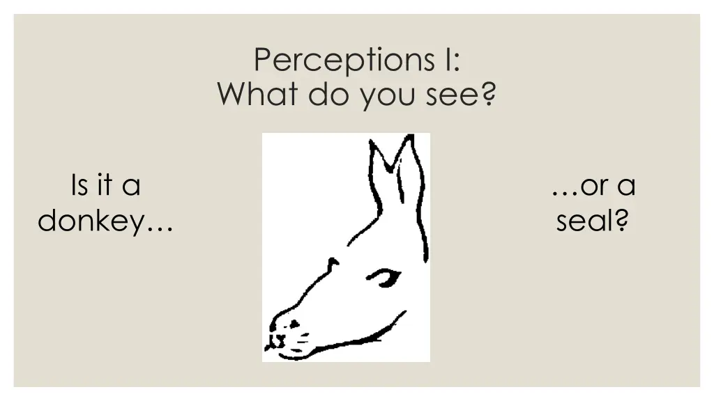 perceptions i what do you see 2