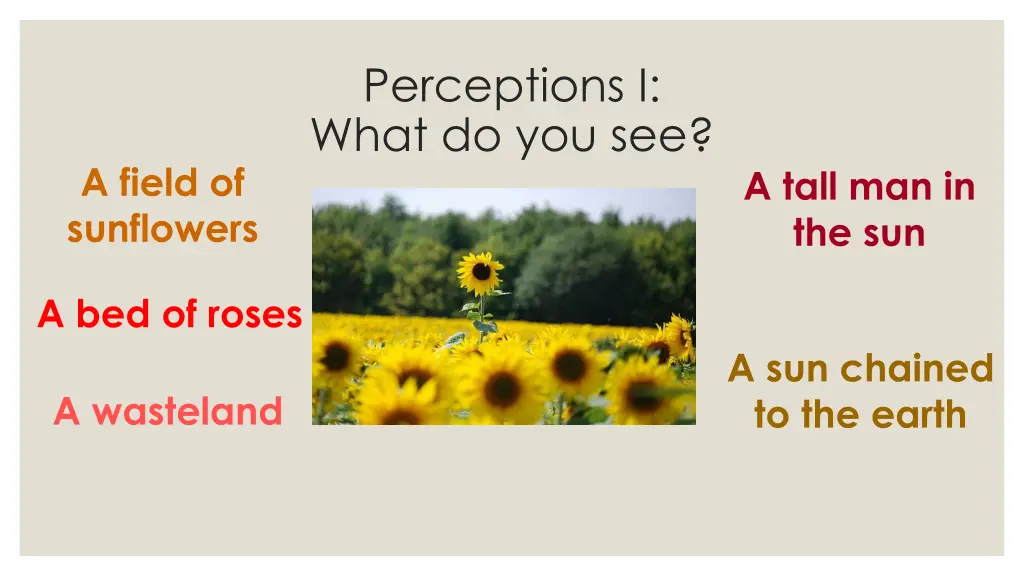 perceptions i what do you see 3