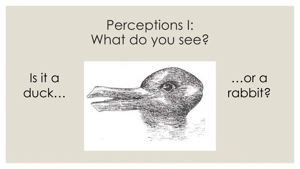 perceptions i what do you see