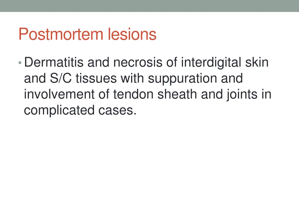 postmortem lesions