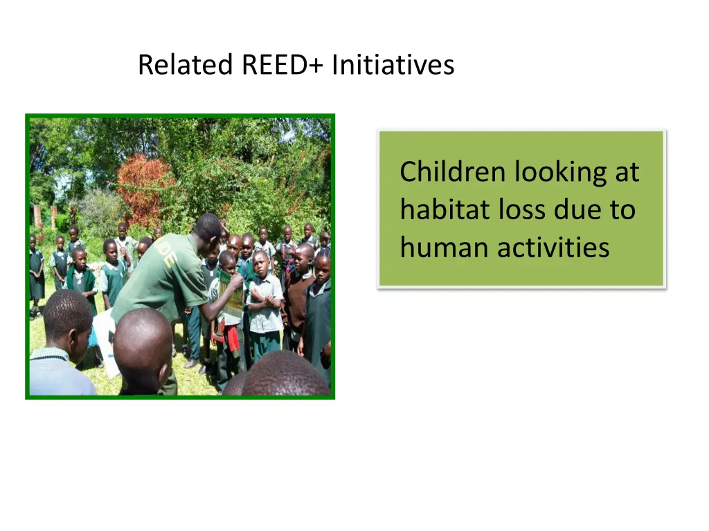 related reed initiatives