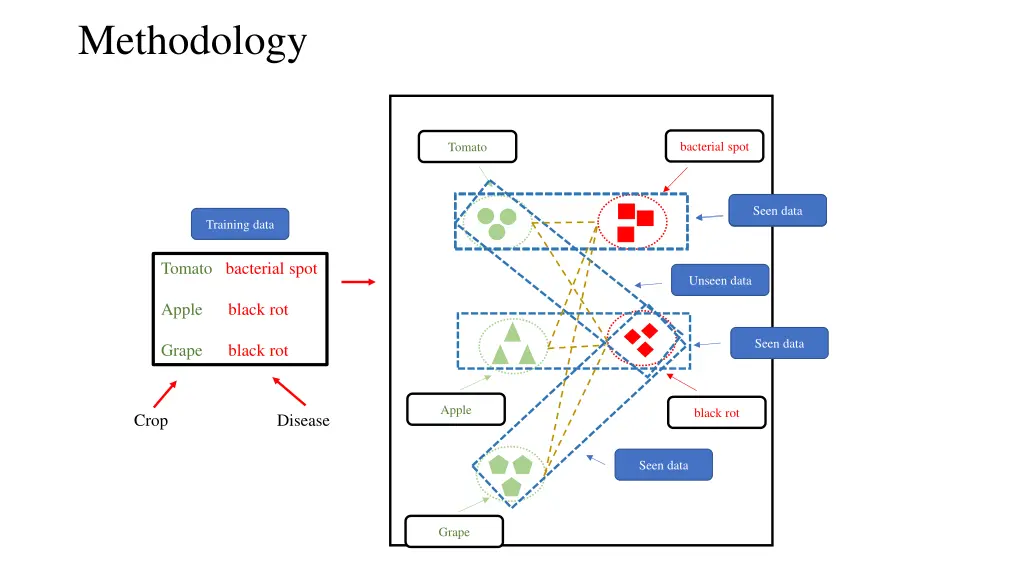 methodology