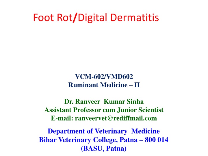 foot rot digital dermatitis