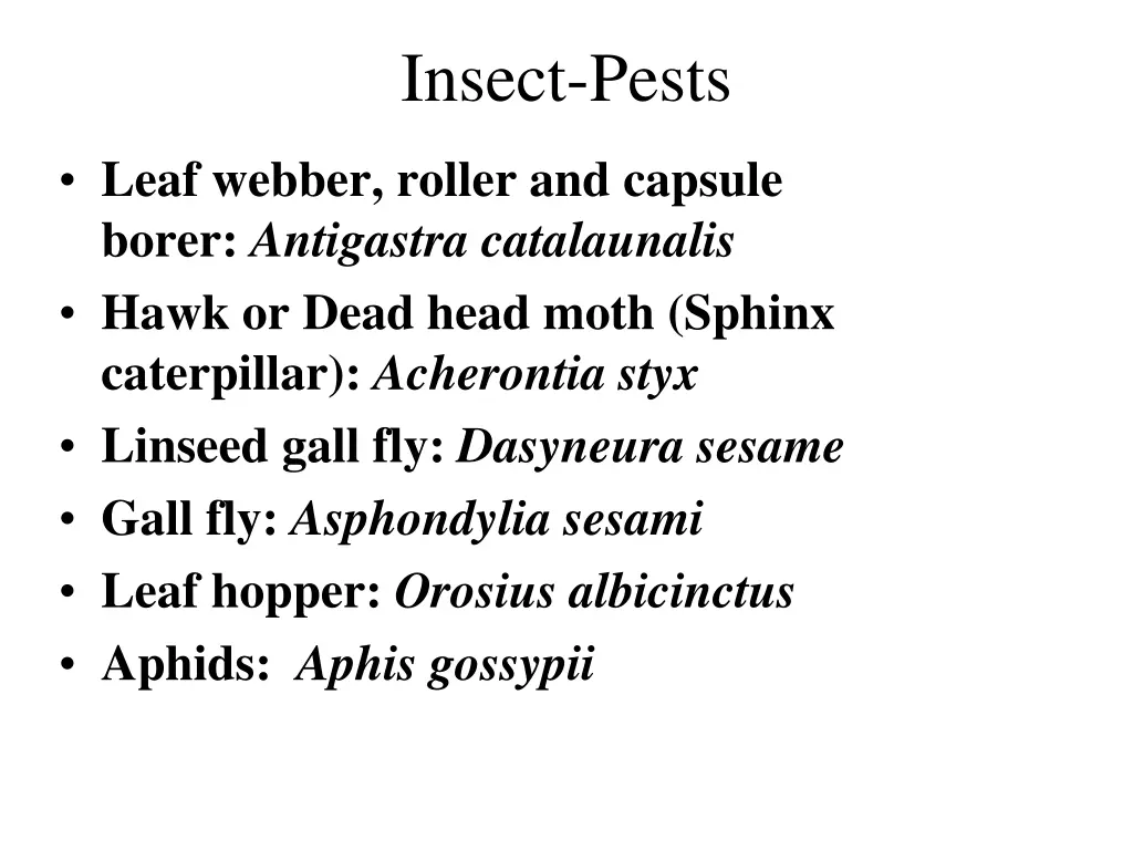 insect pests