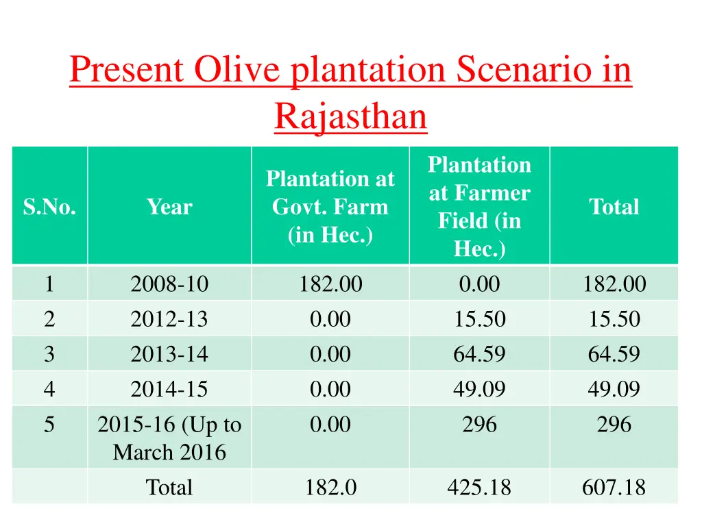 present olive plantation scenario in rajasthan