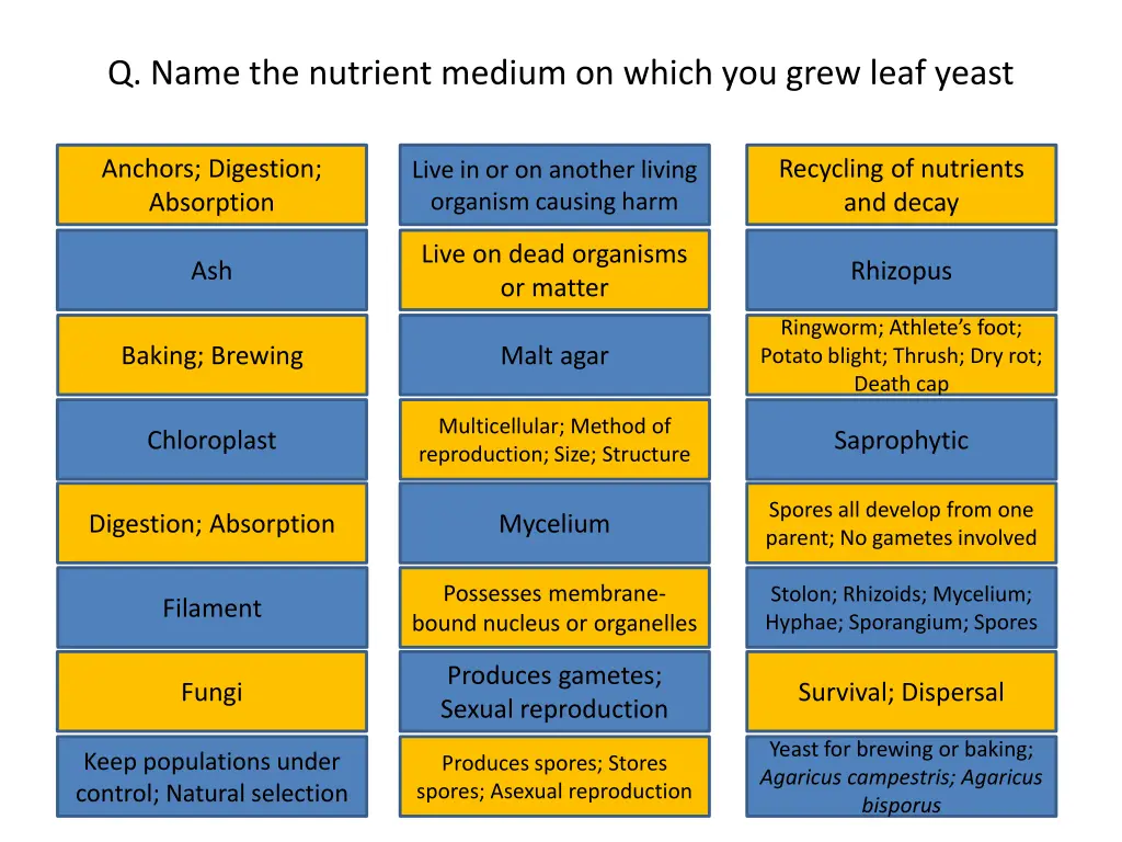 q name the nutrient medium on which you grew leaf