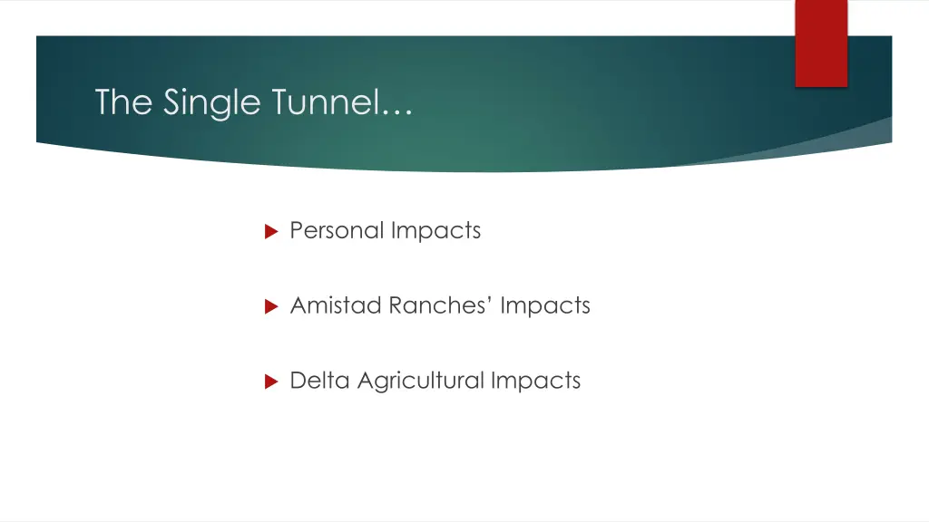 the single tunnel