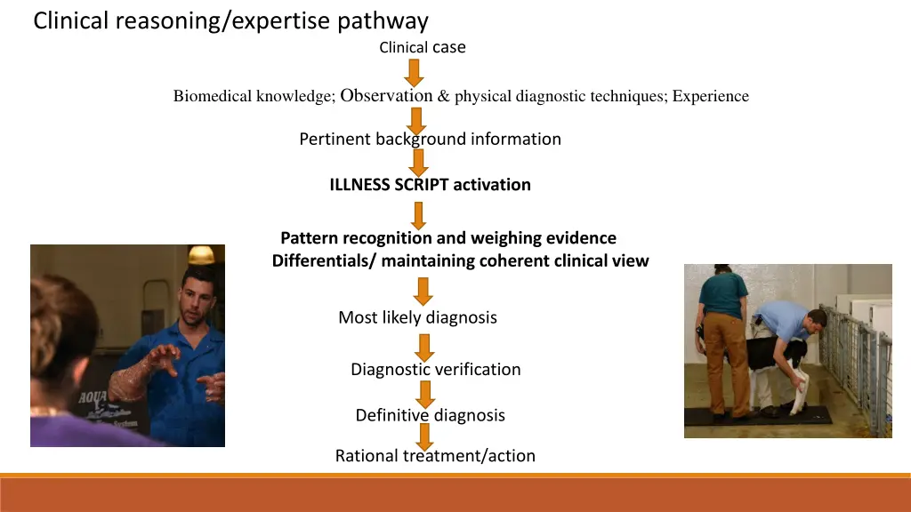 clinical reasoning expertise pathway