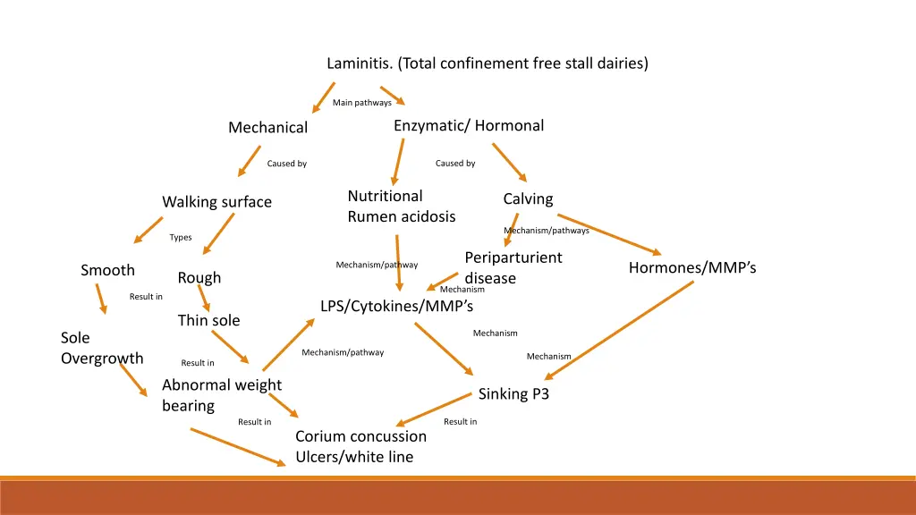 laminitis total confinement free stall dairies