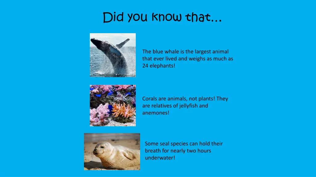 did you know that 1