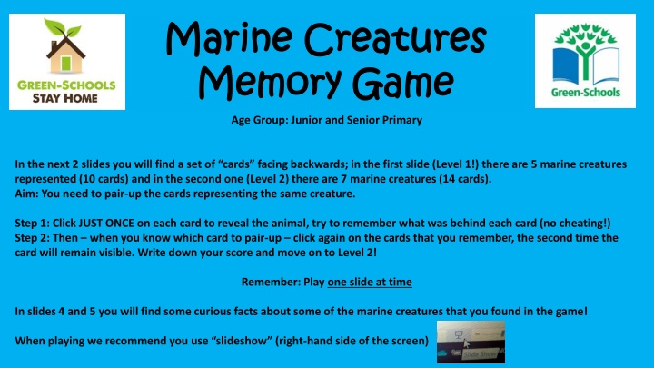 marine creatures marine creatures memory game