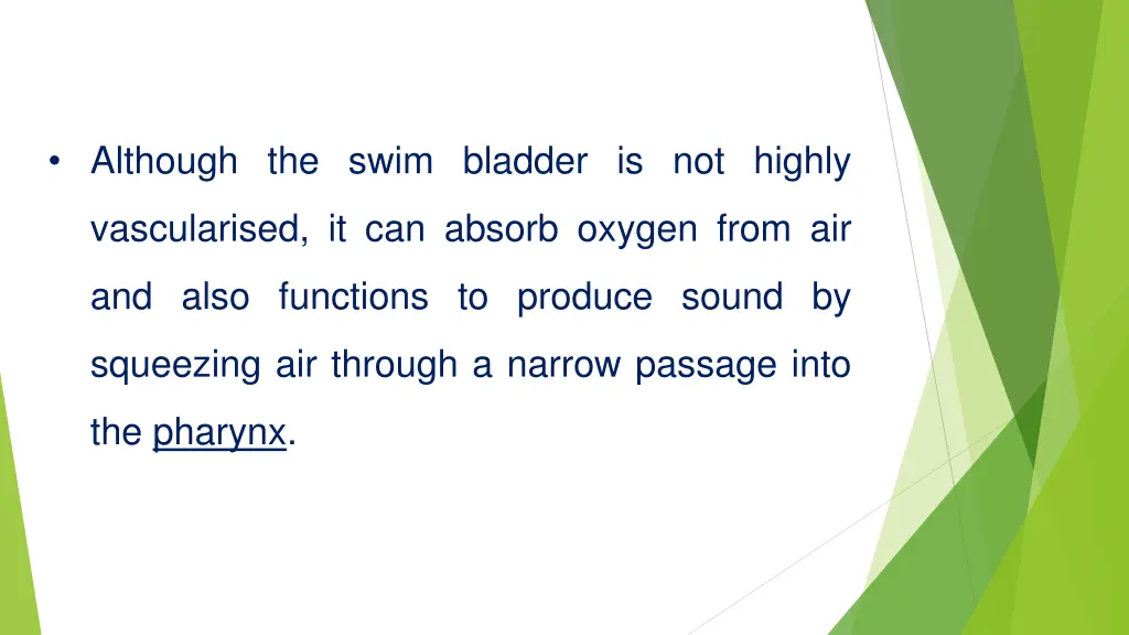 although the swim bladder is not highly