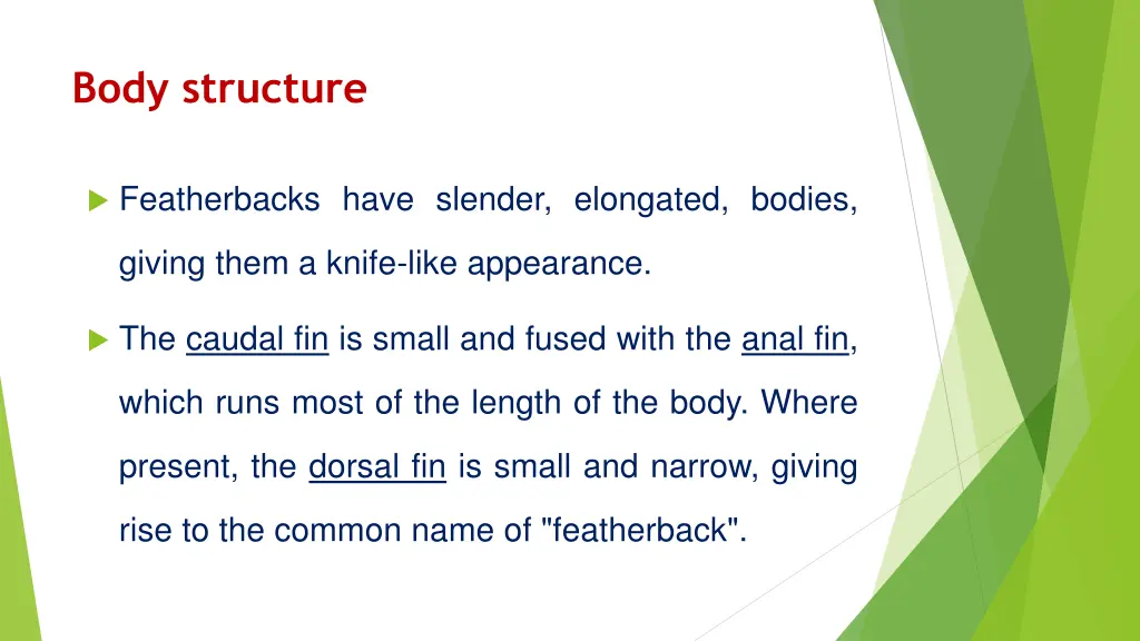 body structure 2