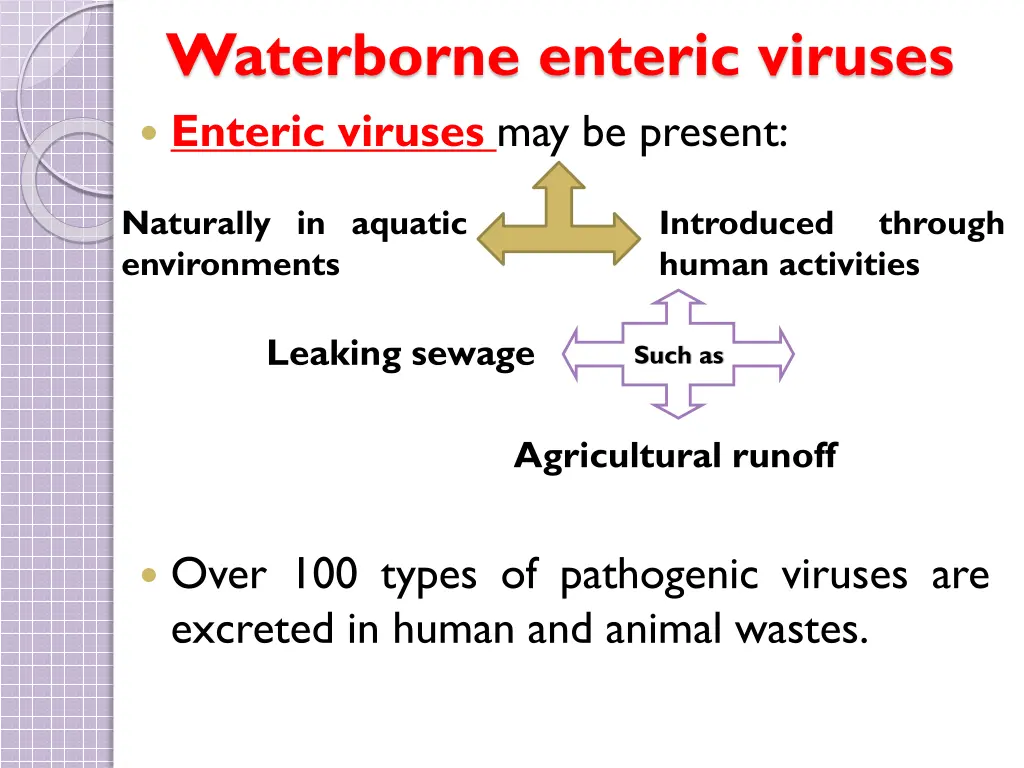 waterborne enteric viruses enteric viruses