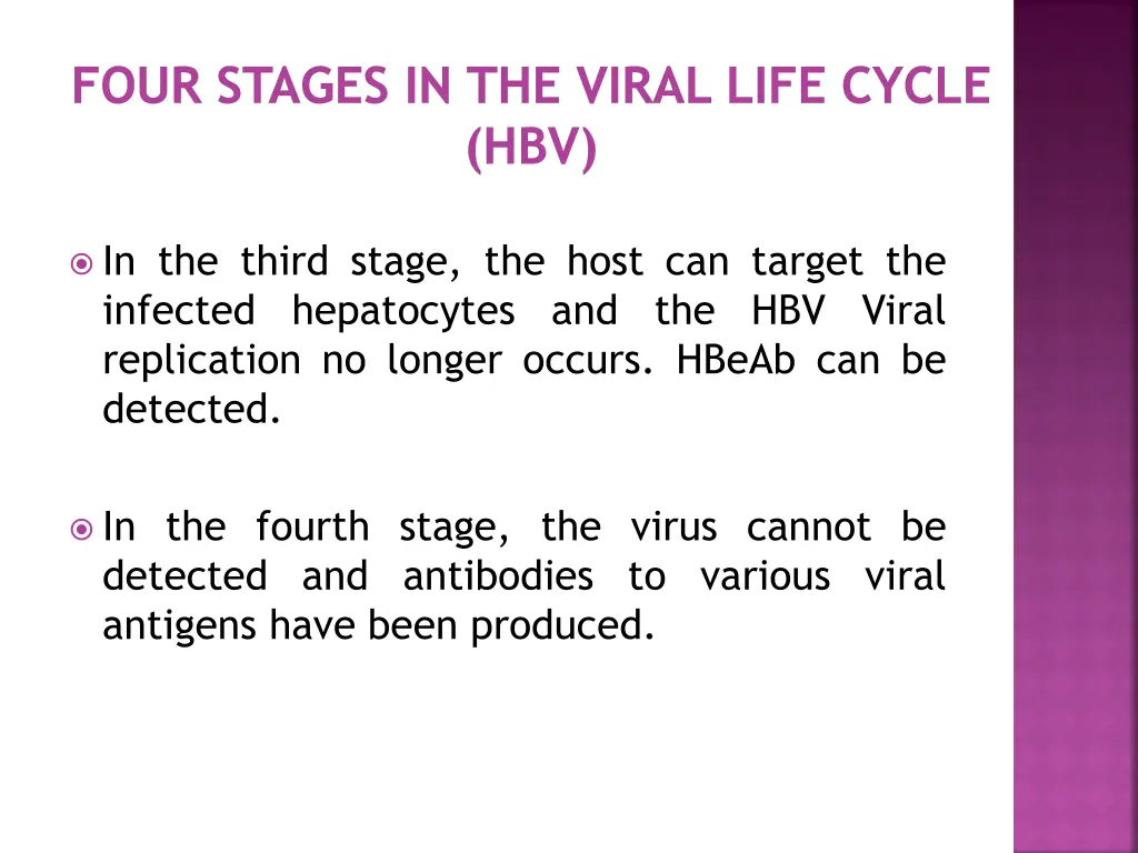 four stages in the viral life cycle hbv 1